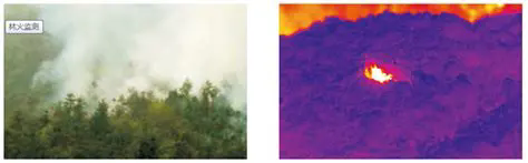 640.webp (12).png